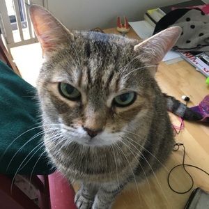 Meet your Posher, Julia